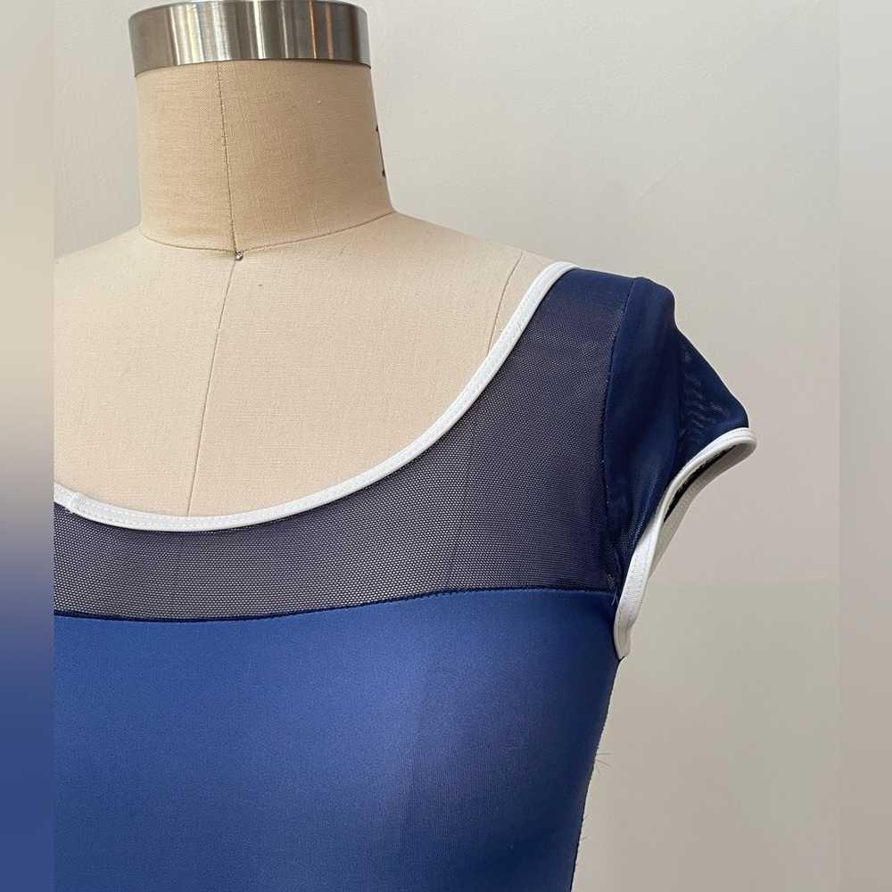 Blue Ombré Leotard Size Small - Picture 2 of 5